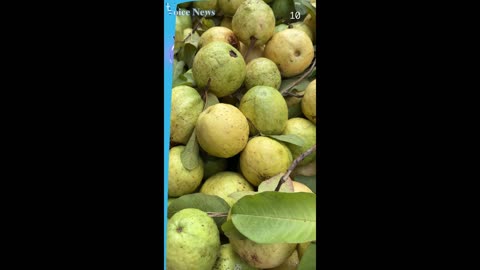 Οι Τίτλοι της Ημέρας σε 60″ από το VoiceNews.Gr Σάββατο 29-11-2025