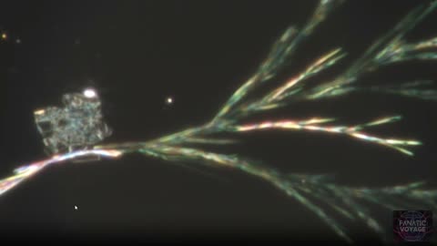 Semi-Biotic Systems Set To Transmogrify Humans With Polymorphic Microstructures From Within
