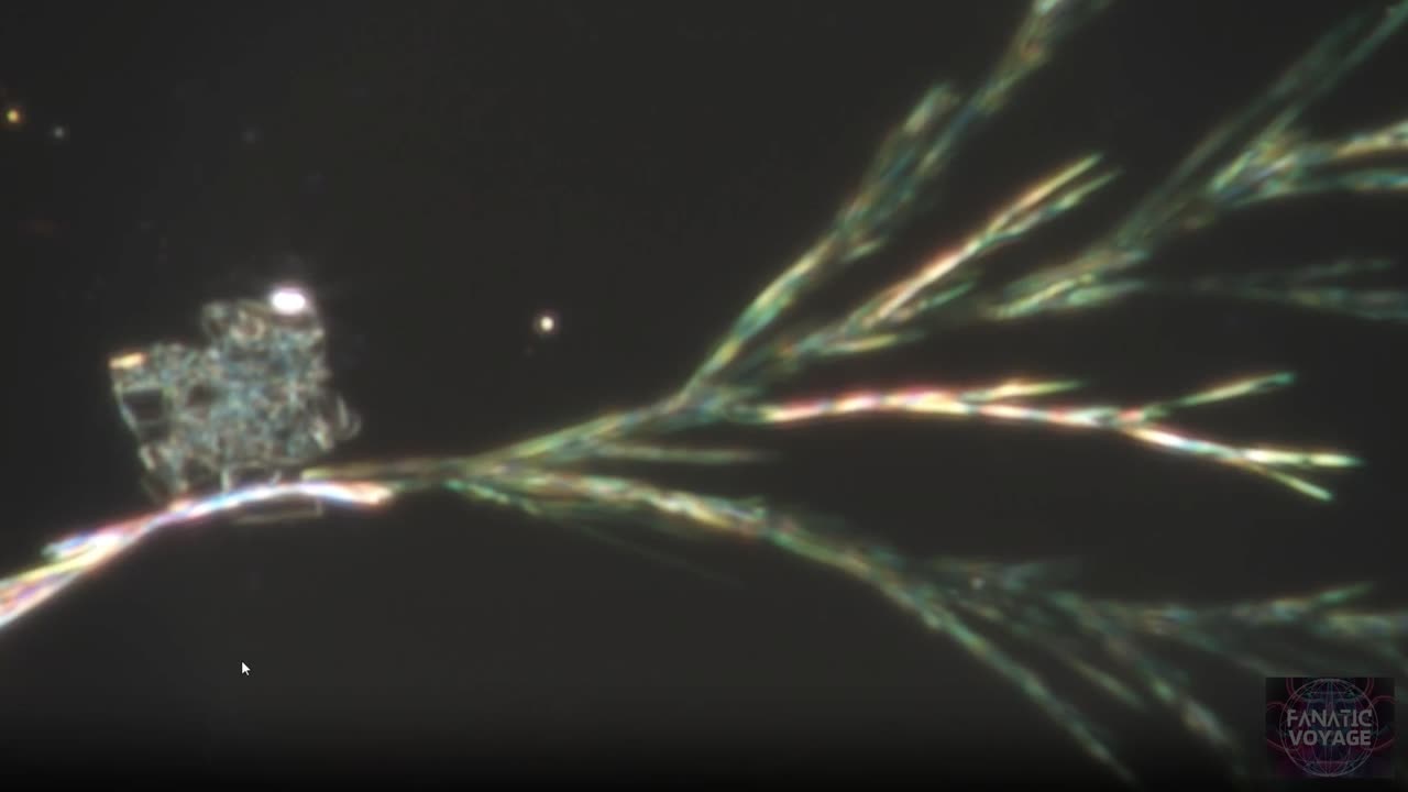 Semi-Biotic Systems Set To Transmogrify Humans With Polymorphic Microstructures From Within