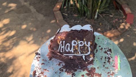 Yesterday was Mr Nature's b-earth-day🥳🙌😍🌱