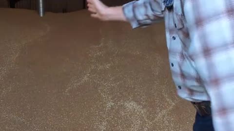 Farmers getting robbed