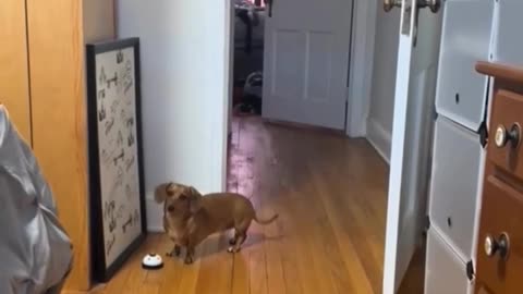 🤣🤯 Don’t Make Me Press It Again – You Won’t Believe What Happens! | FunFM