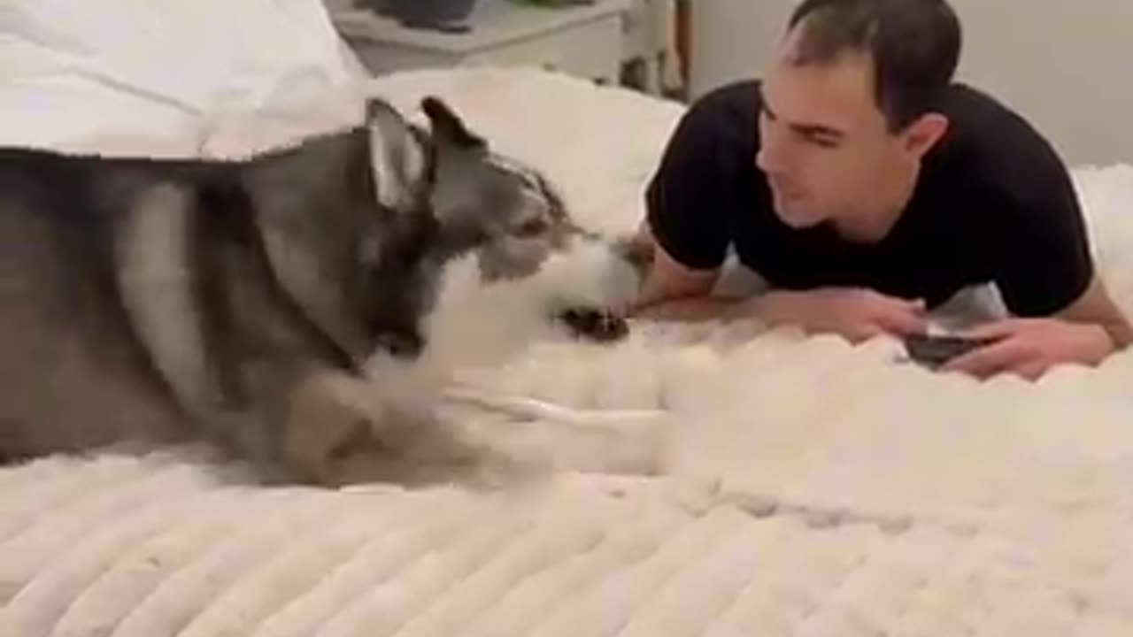 Turn the TV back on NOW!