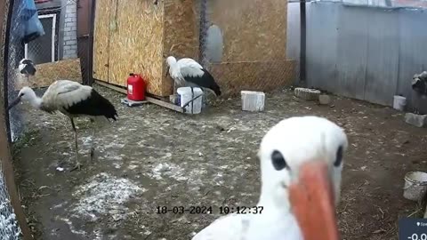 Checking the bite resistance of the camera 😁