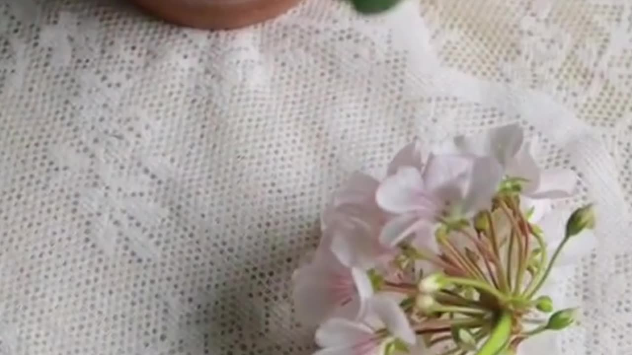 enjoy taking care of flowers in the afternoon 4