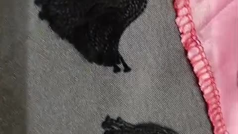 LULUSAR SILK
