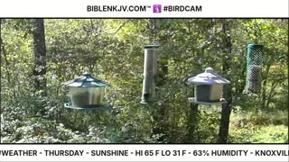 BIBLENKJV.COM™ 🛐 10/23/2025 #LIVE #WEATHER #KNOXVILLE
