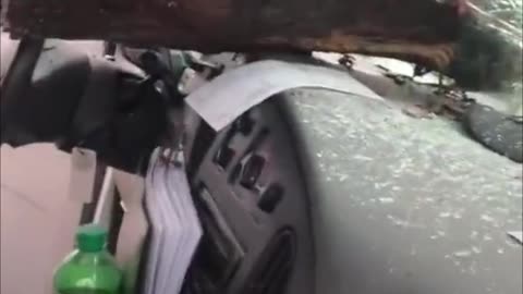 Tronco atraviesa parabrisas de camioneta y el conductor sale ileso