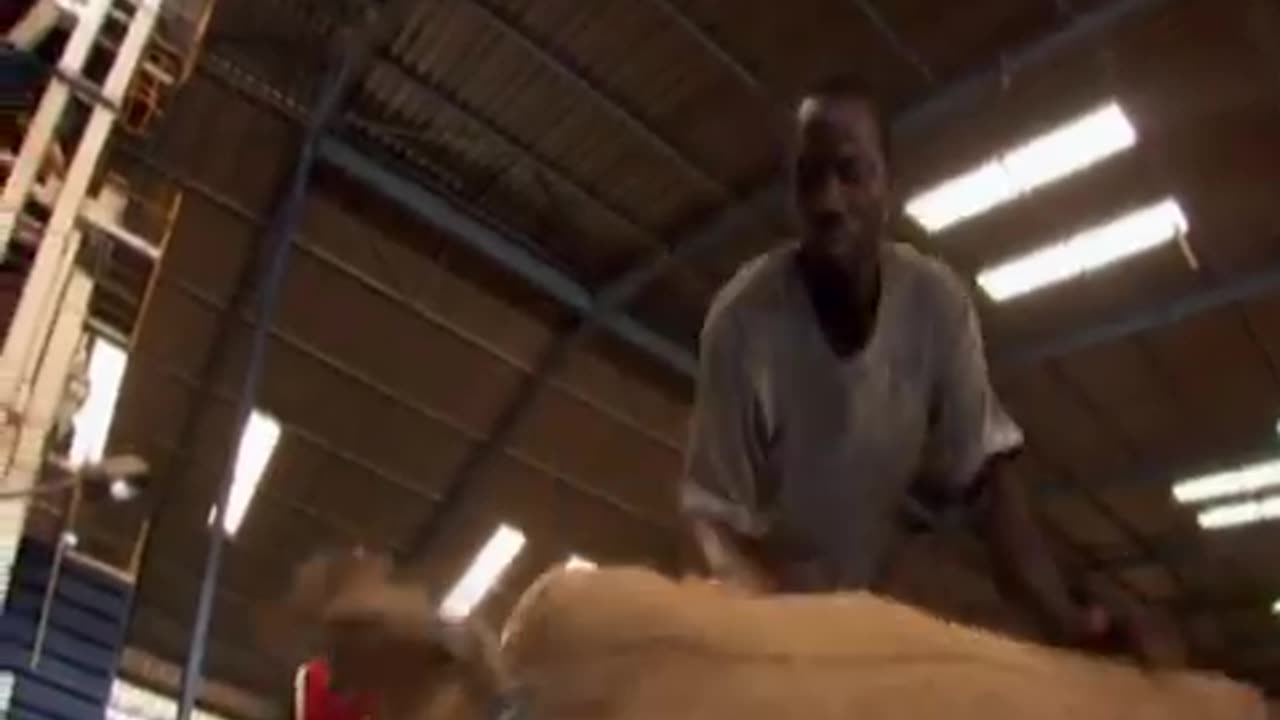 The Dark Side of Chocolate - Child Slavery