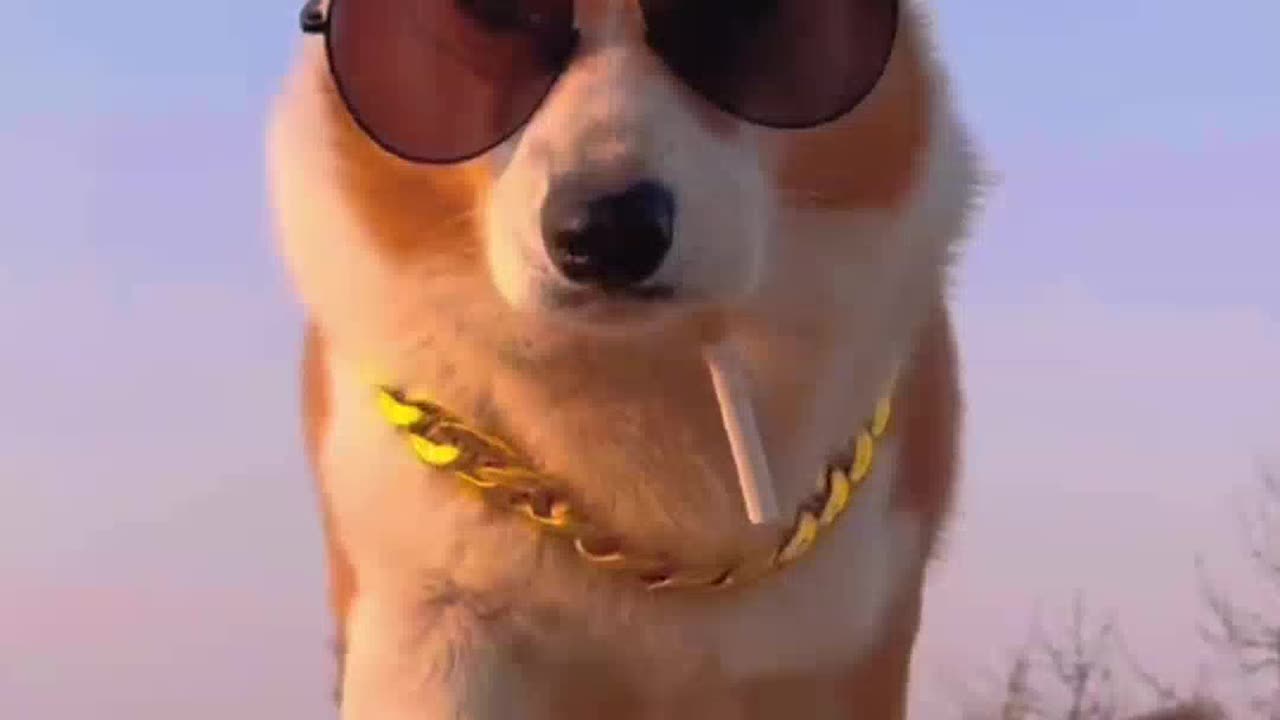 Don’t be afraid, I’m not a bad guy.