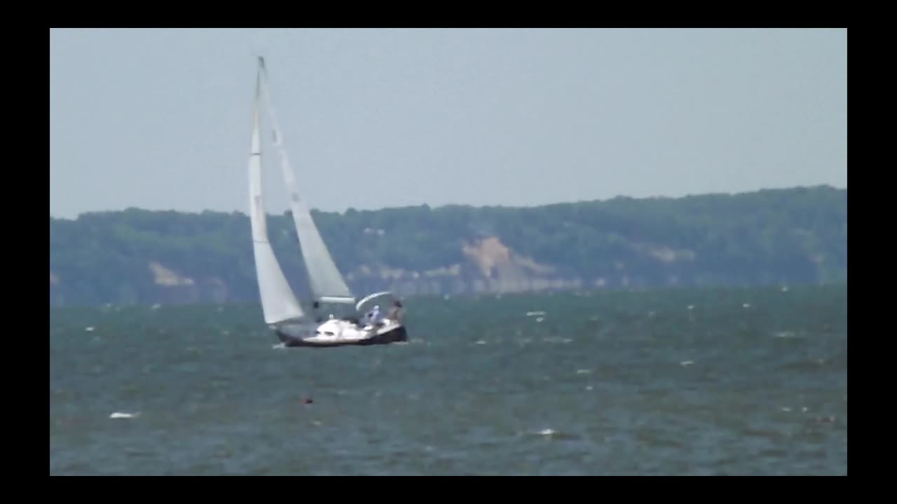 Potomac Scenes