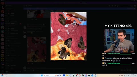 MICKEY MOUSE WIN & Puppies