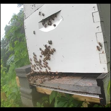 Tuesday Morning Sunrise