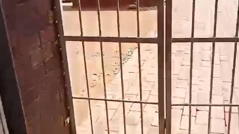 Magareng municipality