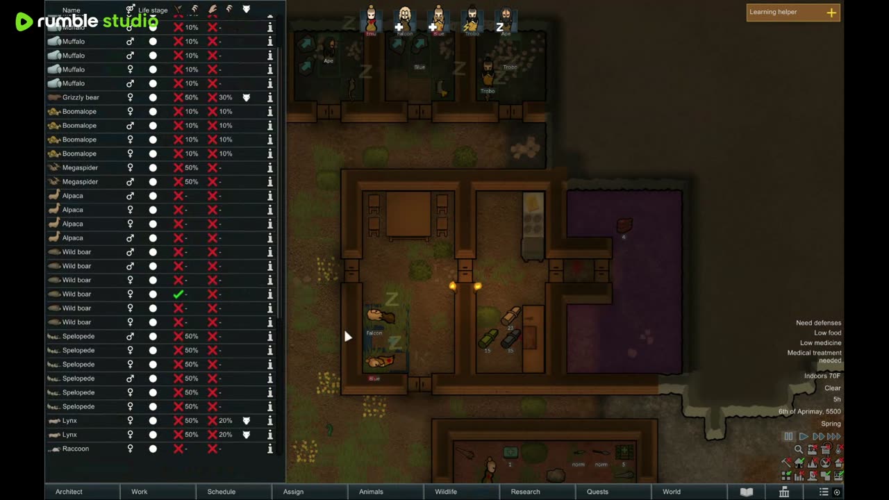 Rimworld - Random Fun