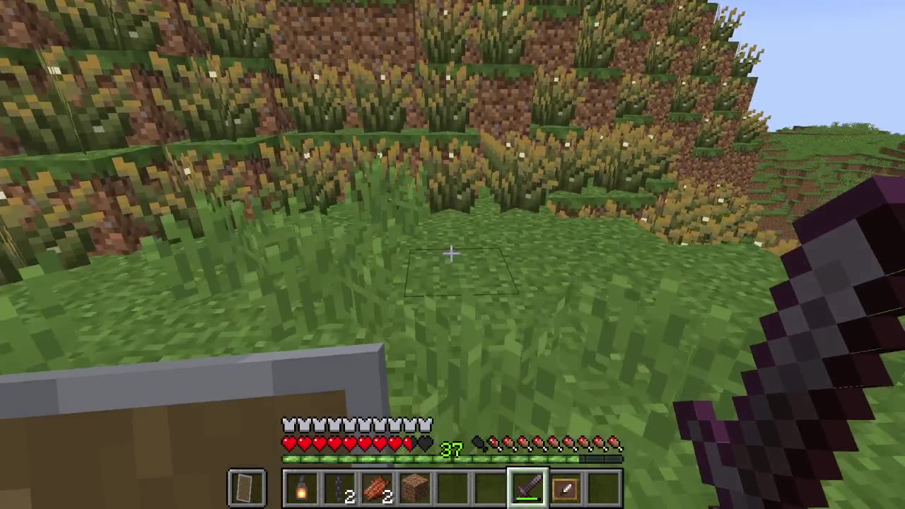 New World, Better Builds