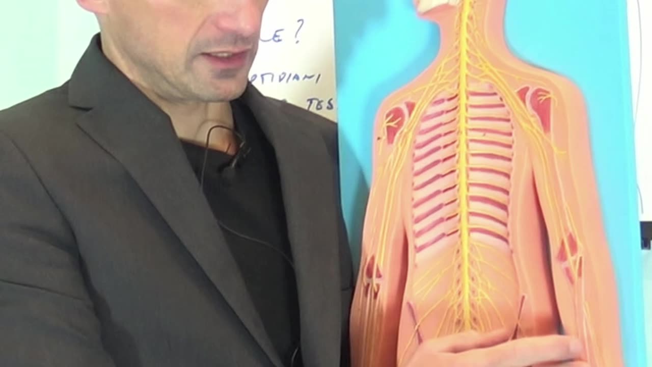 Dolore a Collo, Spalla e Braccio: E se Fossero i Nervi?