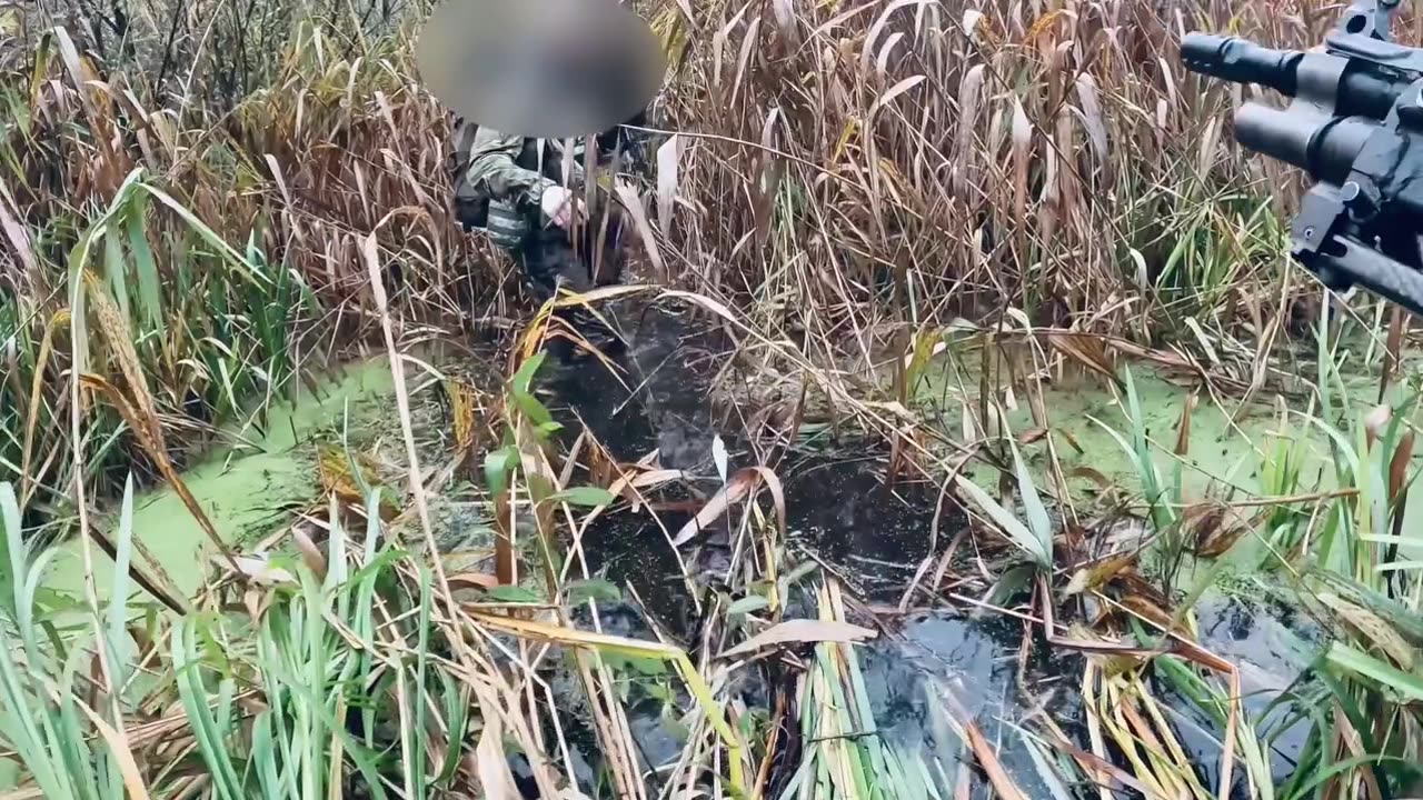 Ukrainian Special Forces Moving Through Marshland