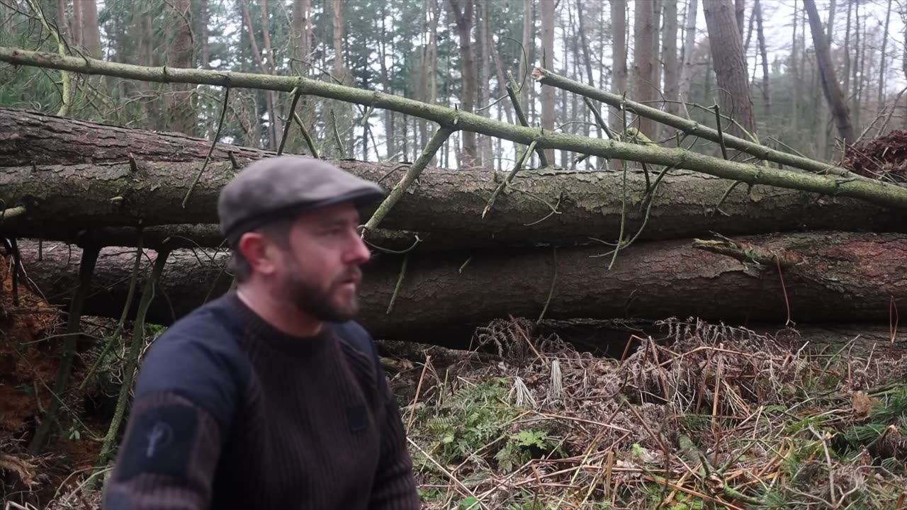 How to build a Survival Shelter Under Fallen Trees 🔥🍂❄🌲🍁
