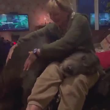 Big dog is still just a little puppy..