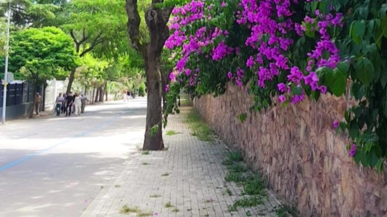 RISE LIKE THE SUN #1 V2