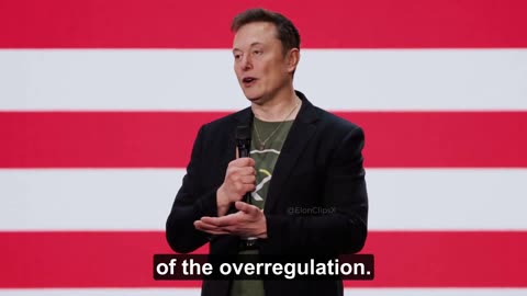 Elon Musk: SpaceX Had to Study Whether Starship Would Hit a Shark