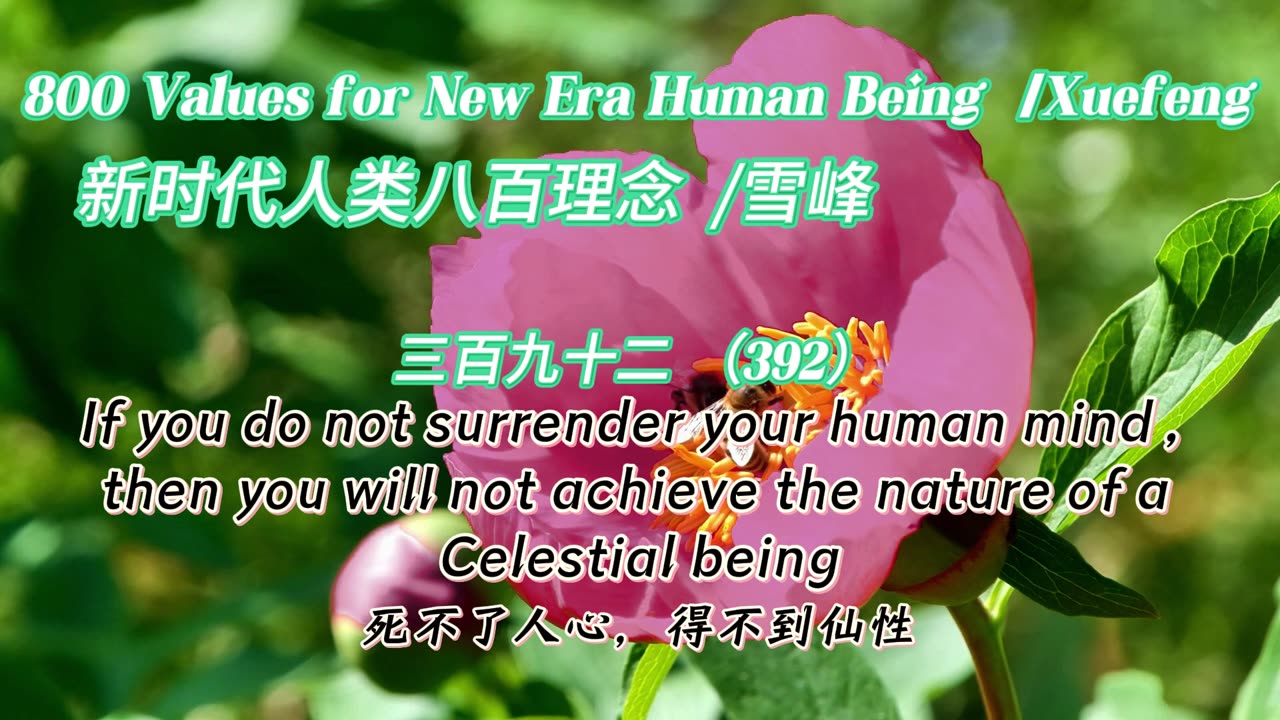 800 Values for New Era Human Being（392）