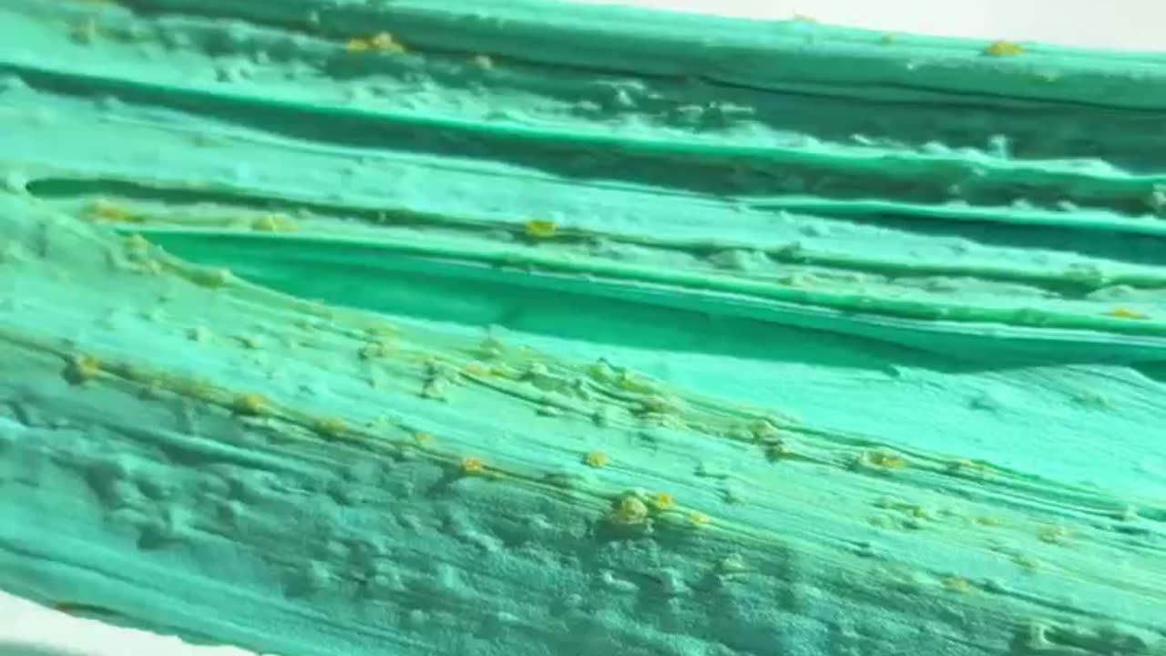 SLIMEY THE PLATYPUS ASMR 🎧