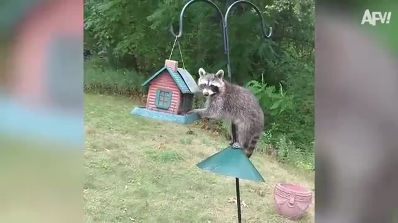 Try Not To Laugh Challenge