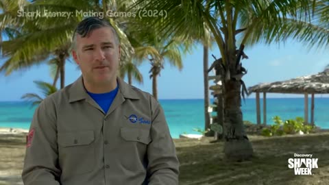 Researching a Chaotic Shark Feeding Frenzy Shark Week (2025) Discovery