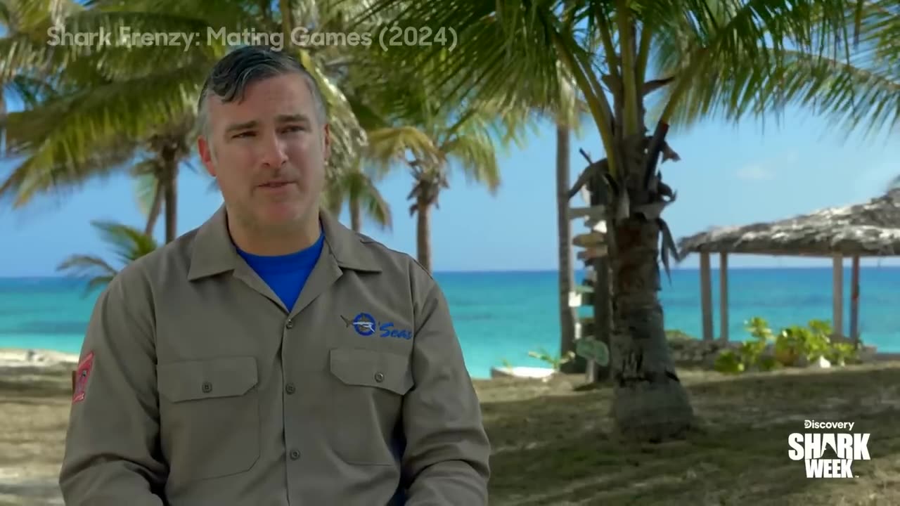 Researching a Chaotic Shark Feeding Frenzy Shark Week (2025) Discovery