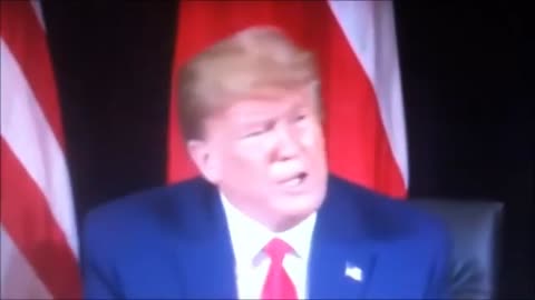 Trump Is Slam Dunked Into the Shapeshifting Files - Tamara Magdalene's Videos