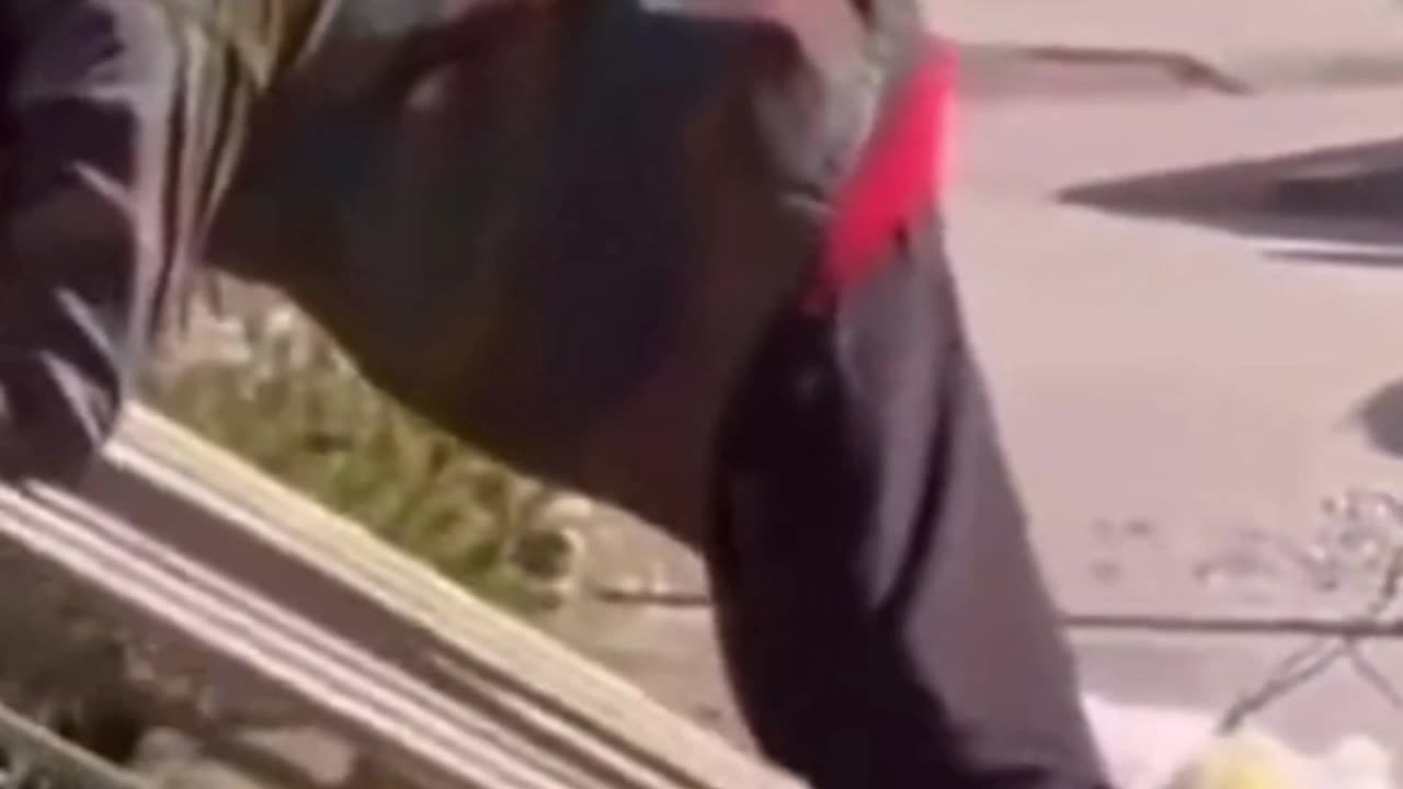 Once in a Lifetime Moment — Try Not to Laugh!