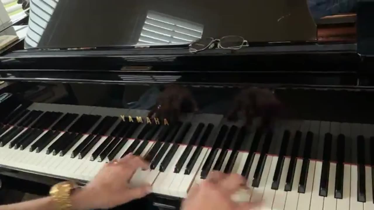 Dino at the Piano 8-28-25 I've Anchored My Soul/If I Could Hear Mother Pray Again