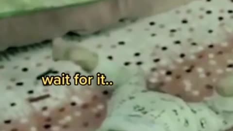 😱💥 The Most Possessed TikToker Ever! | TheHauntingHour