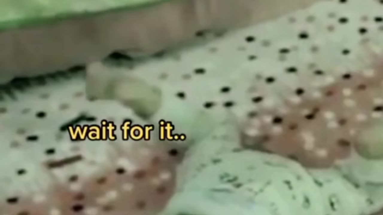 😱💥 The Most Possessed TikToker Ever! | TheHauntingHour