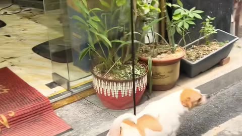 🤯💡 This Easy Hack Organizes Your Cables Perfectly! | LifeHacksDaily