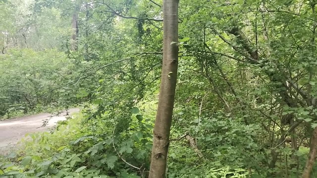 Anuśka ...
