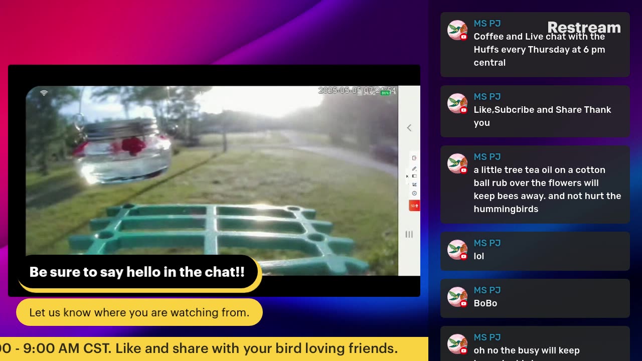 Bird Feeder Live 5-5