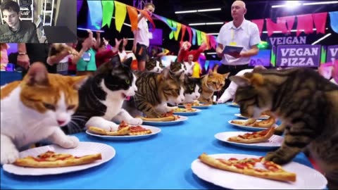 The Cats Attempt The Vegan Pizza Eating Contest Fake Funny Parody Video With Live Commentary