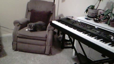 Vivitar keychain camera first video! Wonky frame rate, but lovely grain!