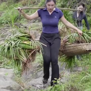 Janda di tinggal suami