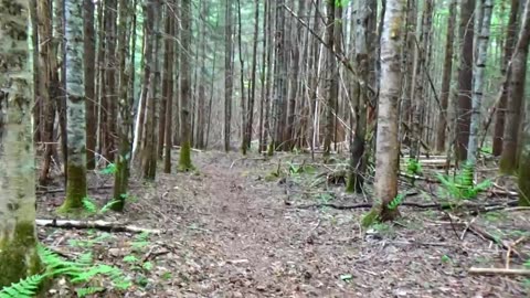 Take a Hike