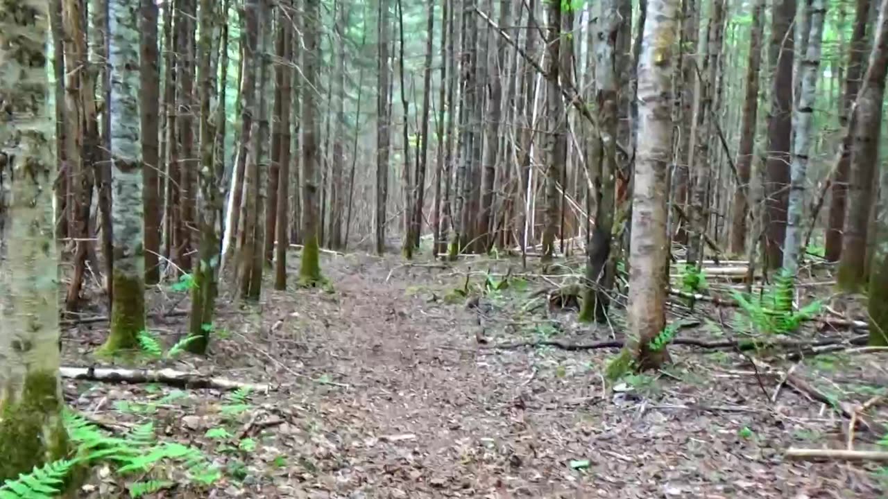 Take a Hike