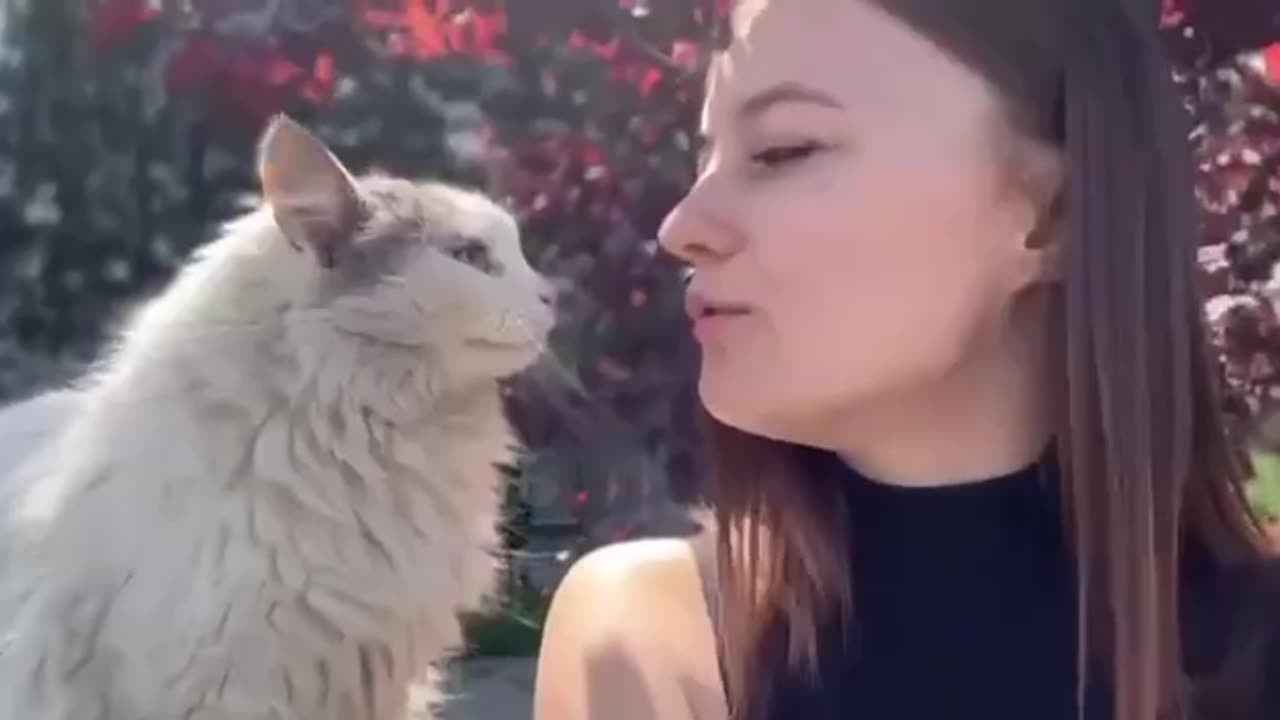 Don’t disrespect the meow 😊