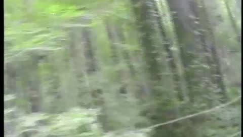Watch Alex Jones Warn You About The New World Order Years Ago in These Vintage Films