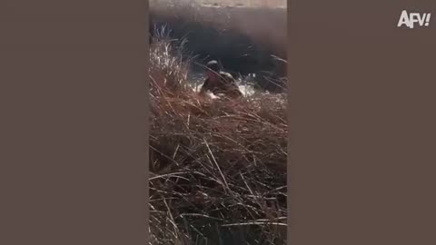 BEST Fails of the Year 💥 Top Viral Videos of 2025