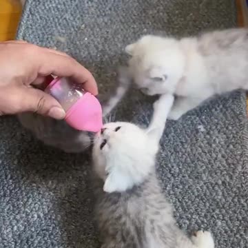 It’s my turn.. 😂