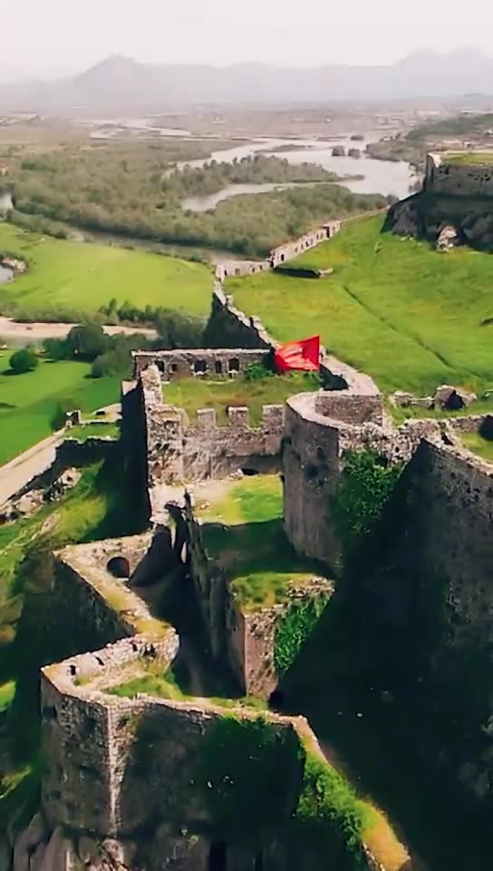 Partitë Popullore Europiane urojnë 28 Nëntorin: Gëzuar Pavarësinë, Shqipëri