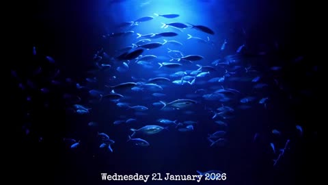 The First Rule of Fatherhood.